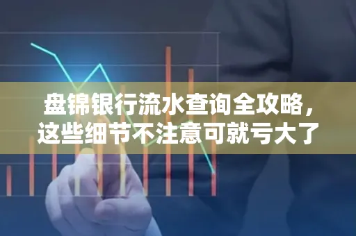 盘锦银行流水查询全攻略，这些细节不注意可就亏大了