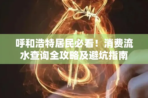 呼和浩特居民必看！消费流水查询全攻略及避坑指南