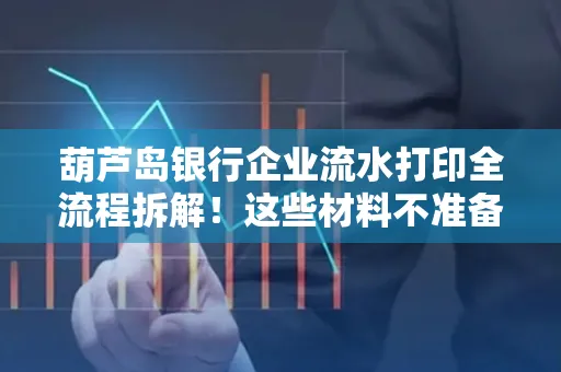 葫芦岛银行企业流水打印全流程拆解！这些材料不准备分分钟白跑一趟