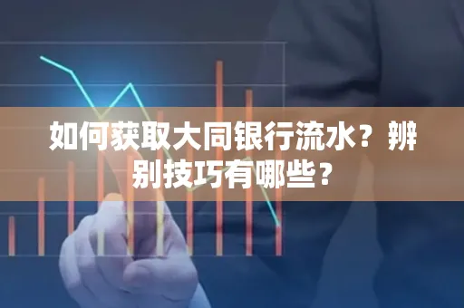 如何获取大同银行流水？辨别技巧有哪些？