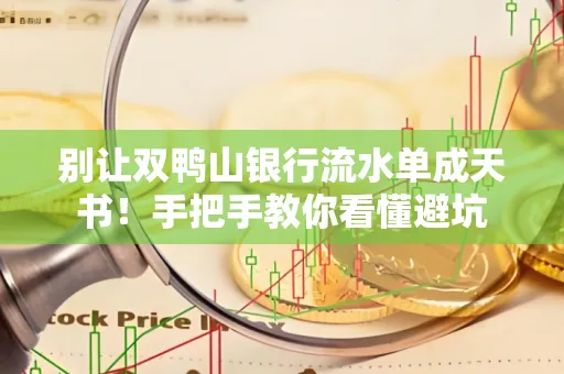 别让双鸭山银行流水单成天书！手把手教你看懂避坑