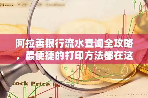 阿拉善银行流水查询全攻略，最便捷的打印方法都在这里