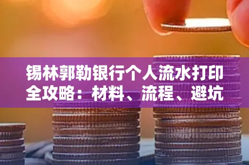 锡林郭勒银行个人流水打印全攻略：材料、流程、避坑指南
