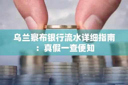 乌兰察布银行流水详细指南：真假一查便知