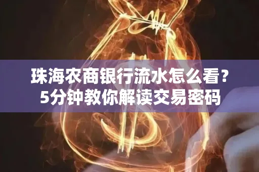 珠海农商银行流水怎么看？5分钟教你解读交易密码